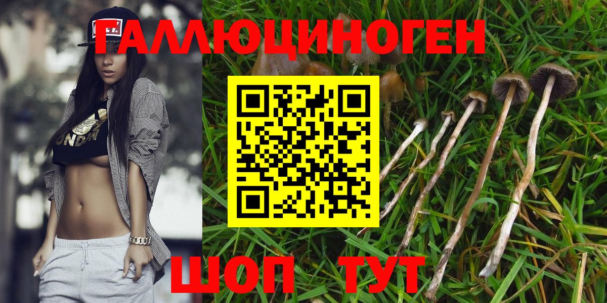 Галлюциногенные грибы Psilocybe  Галлюциногенные грибы MAGIC MUSHROOMS  Вход с VPN  где купить наркотик  Сегежа 