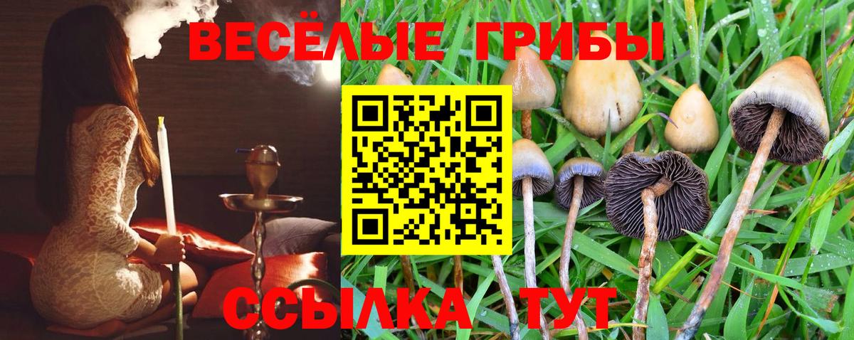 Галлюциногенные грибы мухоморы Сегежа